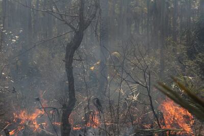 Un bombero combate uno de los focos de incendio registrado en zona de la Triple Frontera.