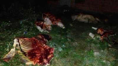 /pf/resources/images/abc-placeholder.png?d=2395