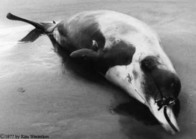 /pf/resources/images/abc-placeholder.png?d=2419