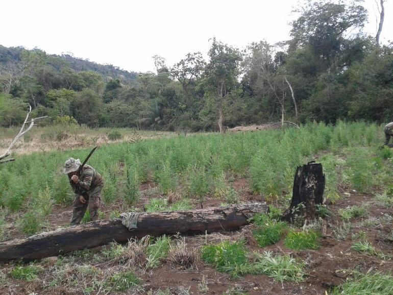 /pf/resources/images/abc-placeholder.png?d=2061