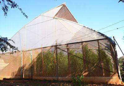 /pf/resources/images/abc-placeholder.png?d=2416