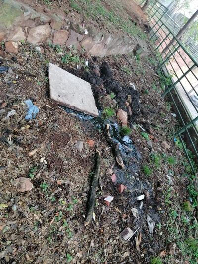 Cloaca sin solución en el parque Carlos A. López.