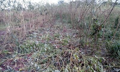 /pf/resources/images/abc-placeholder.png?d=2395