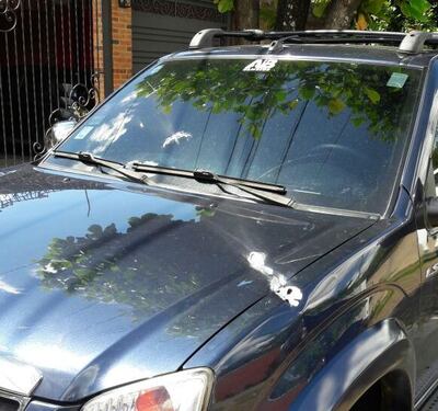 /pf/resources/images/abc-placeholder.png?d=2429