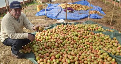 /pf/resources/images/abc-placeholder.png?d=2394