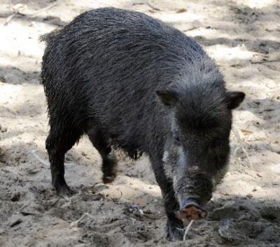 /pf/resources/images/abc-placeholder.png?d=2393