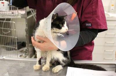 /pf/resources/images/abc-placeholder.png?d=2402