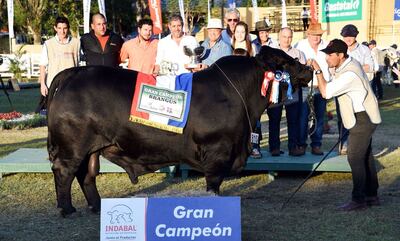 /pf/resources/images/abc-placeholder.png?d=2393