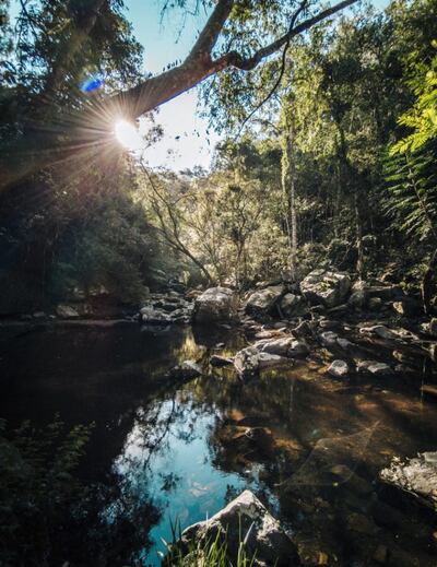 Una de las fotografías que forman parte de la muestra “Mba’ereta” de la Plaza de la Democracia.