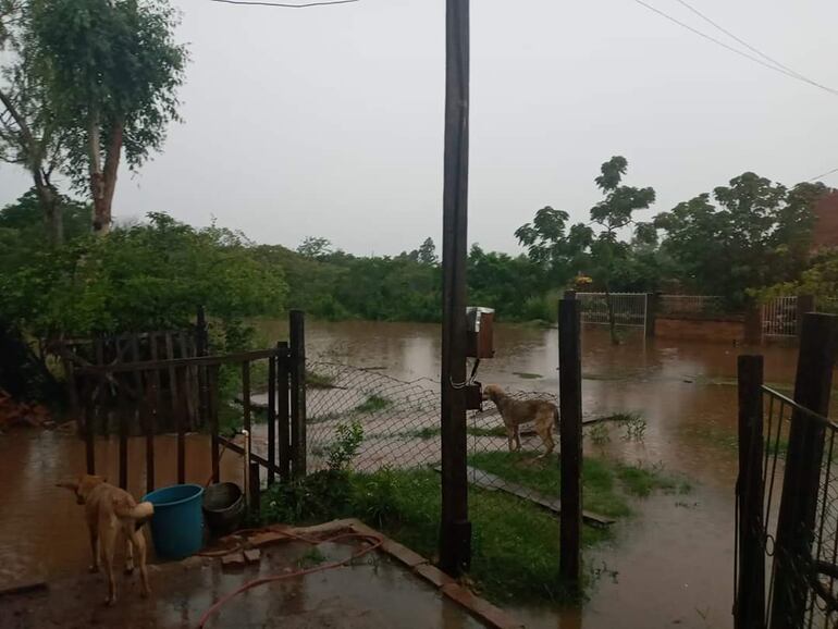 Algunas viviendas quedaron bajo agua por la cantidad de agua caída.