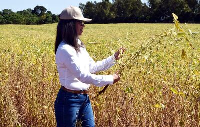 /pf/resources/images/abc-placeholder.png?d=2420