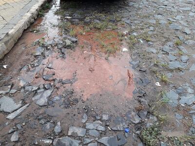 /pf/resources/images/abc-placeholder.png?d=2394