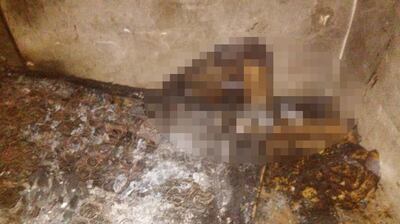 /pf/resources/images/abc-placeholder.png?d=2394