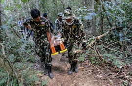 cocodrilo-tailandia-122729000000-1539681.JPG