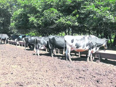 /pf/resources/images/abc-placeholder.png?d=2410