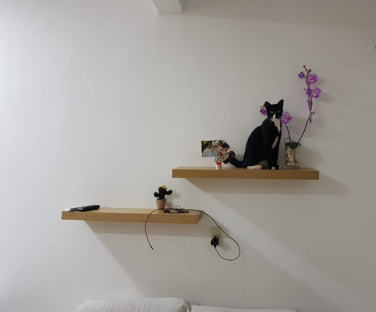 Belinho siendo parte de la decoración