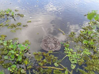 /pf/resources/images/abc-placeholder.png?d=2421