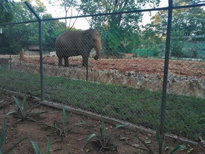 /pf/resources/images/abc-placeholder.png?d=2420