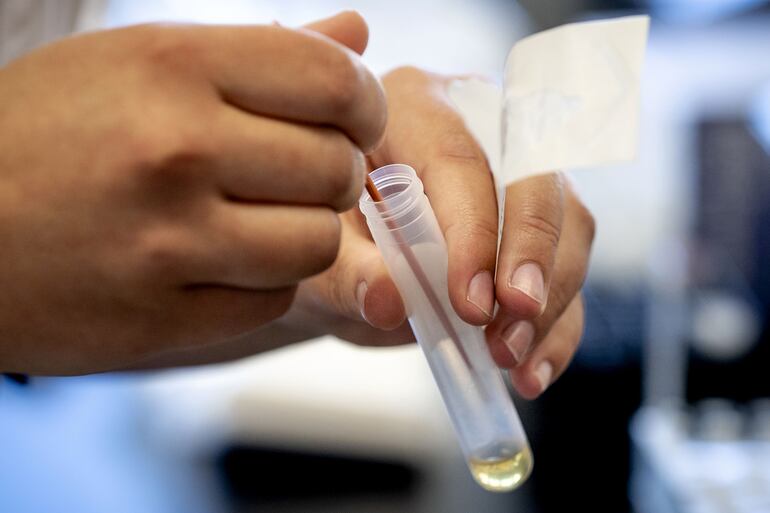 Muestras de pruebas para detectar coronavirus.