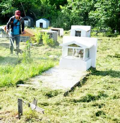 Senepa pidió  el control de los cementerios y advirtió que no se debe dejar agua en los floreros. Recomendó el uso de flores artificiales.