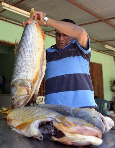 Imagen sin descripción