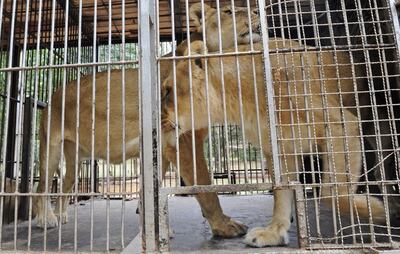 /pf/resources/images/abc-placeholder.png?d=2395