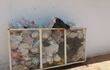 basura-acumulada-en-limpio-132731000000-1563061.jpg