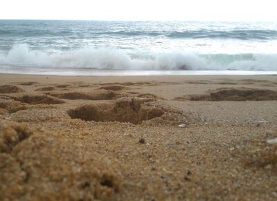 /pf/resources/images/abc-placeholder.png?d=2395