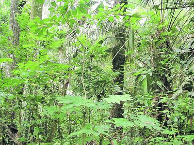 /pf/resources/images/abc-placeholder.png?d=2394