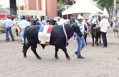 /pf/resources/images/abc-placeholder.png?d=2395