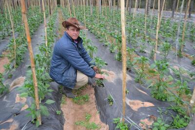 /pf/resources/images/abc-placeholder.png?d=2393