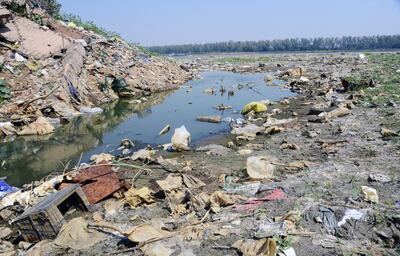 Prevén grave epidemia de dengue