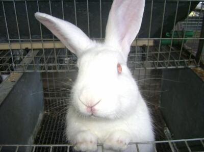 /pf/resources/images/abc-placeholder.png?d=2399