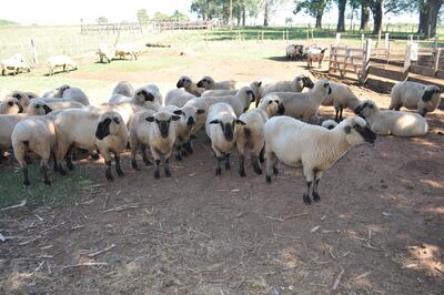 /pf/resources/images/abc-placeholder.png?d=2421