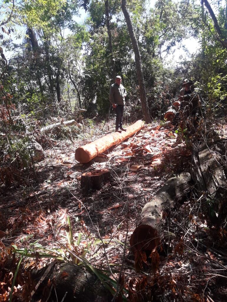 /pf/resources/images/abc-placeholder.png?d=2422