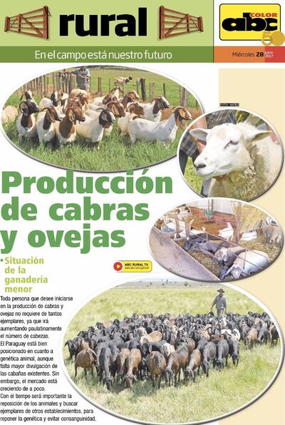 /pf/resources/images/abc-placeholder.png?d=2393