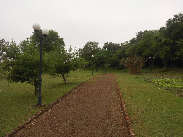 El Parque de la Salud puede ser declarado en un bosque urbano.