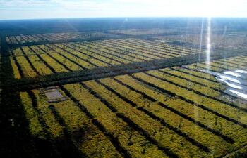 zonas-deforestadas-en-alto-paraguay-las-mas-afectadas-son-fuerte-olimpo-y-bahia-negra--203520000000-1733454.jpg