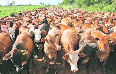 /pf/resources/images/abc-placeholder.png?d=2417