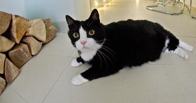 /pf/resources/images/abc-placeholder.png?d=2394