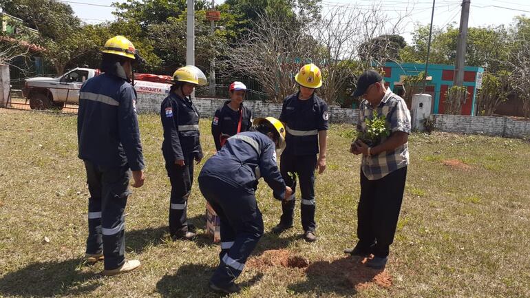Bomberos de Horqueta arborizan la ciudad