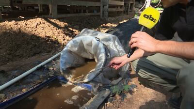 /pf/resources/images/abc-placeholder.png?d=2429