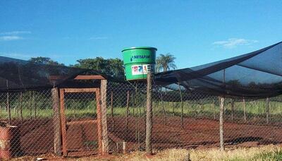 /pf/resources/images/abc-placeholder.png?d=2394