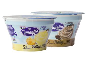 campella-pudding-un-delicioso-postre-cremoso-y-rico-en-componentes-lacteos--231237000000-1569987.jpg