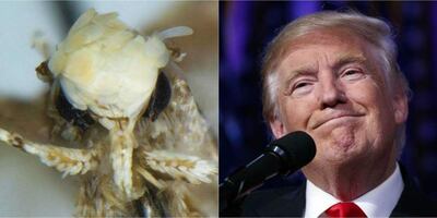 /pf/resources/images/abc-placeholder.png?d=2443