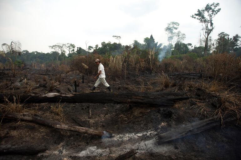 Vista de los daños producto del incendio en la selva amazónica este lunes, en Porto Velho (Brasil).