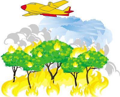 Desastre desde todo punto de vista