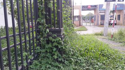 /pf/resources/images/abc-placeholder.png?d=2425