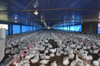 Imagen sin descripción