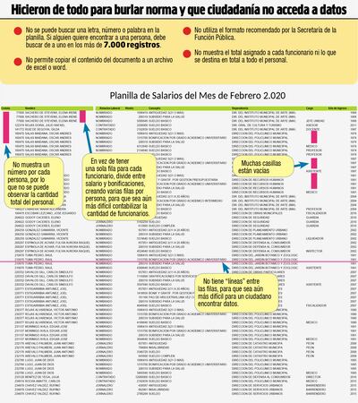 Violan Ley 5282 de Información Pública